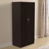 LivWoods | Modern Genesys Elegance 2 Door Wardrobe in Wenge Finish